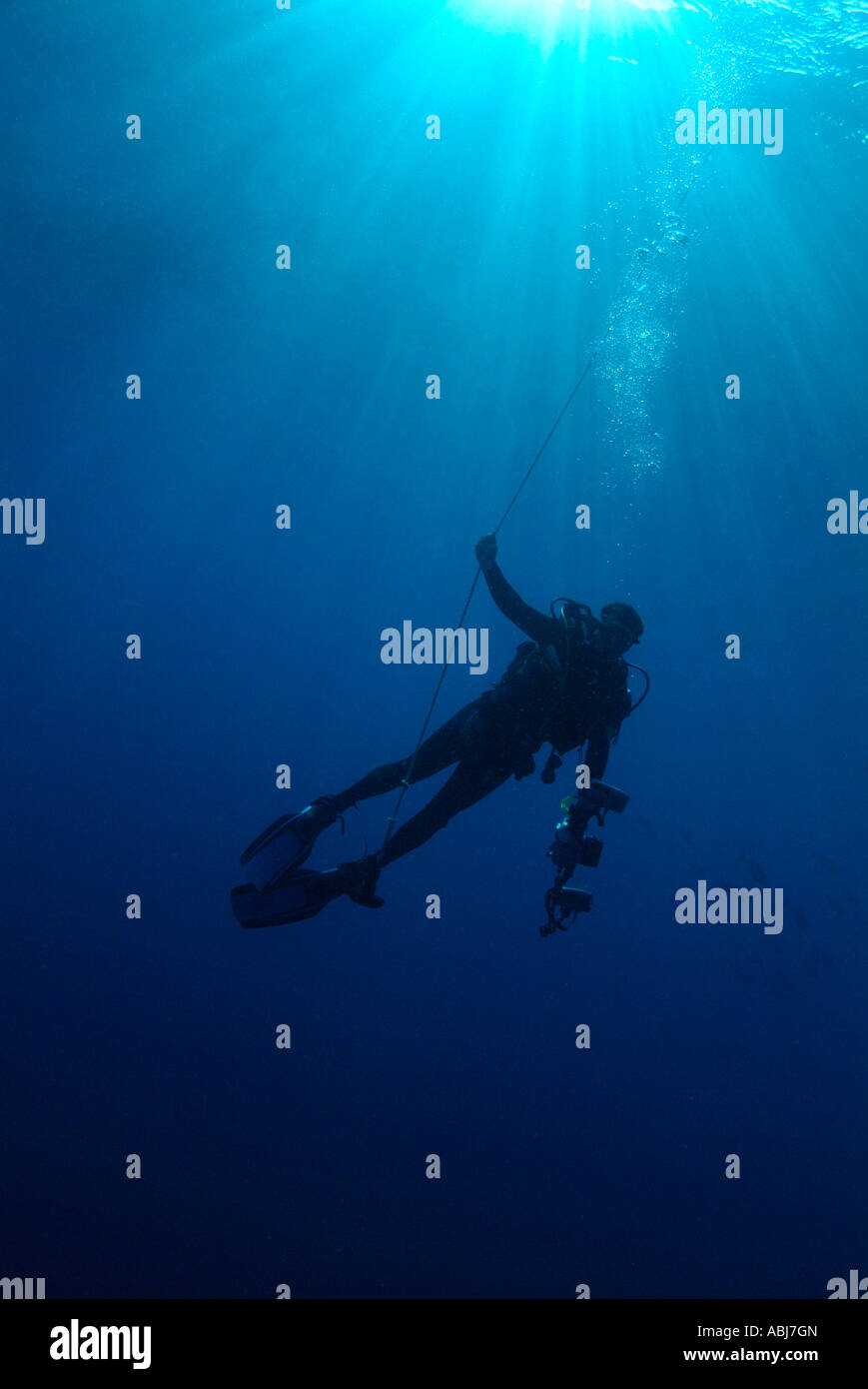 Scuba diving safety stop hires stock photography and images Alamy
