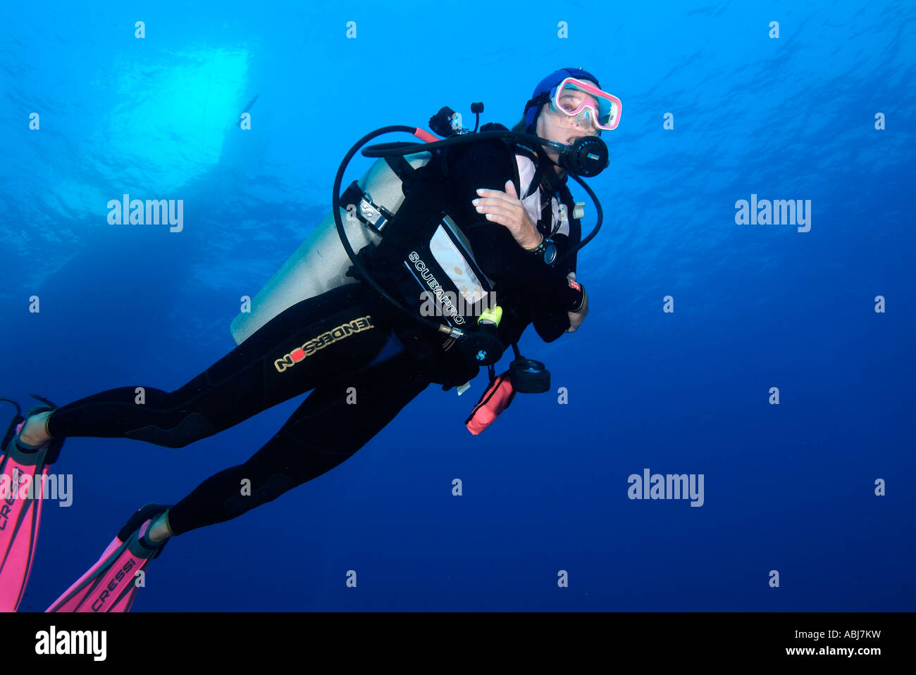 Portrait of a diver in Flower Garden in the Gulf of Mexico Stock Photo