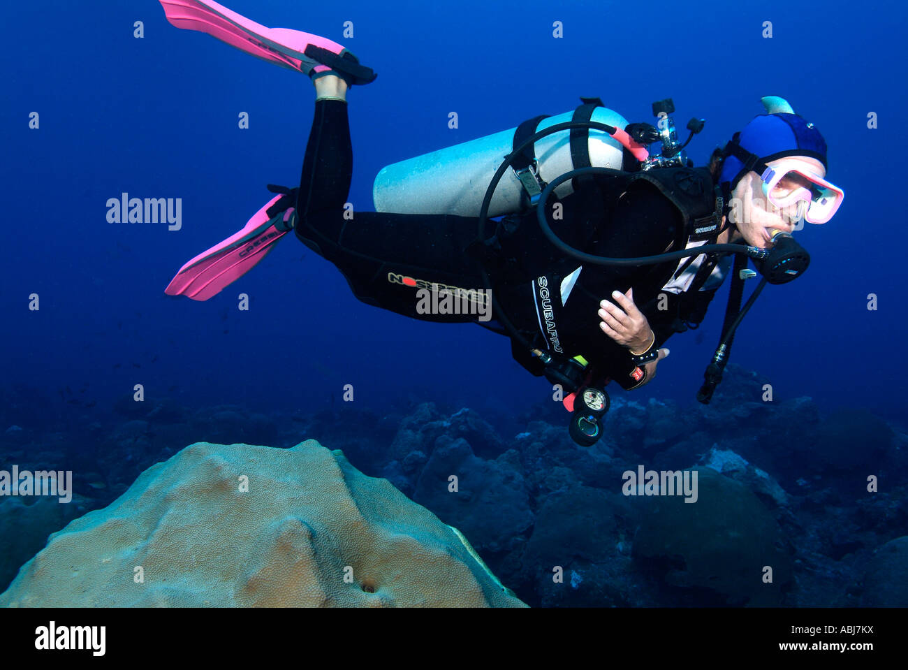 Portrait Of A Diver In Flower Garden In The Gulf Of Mexico Stock