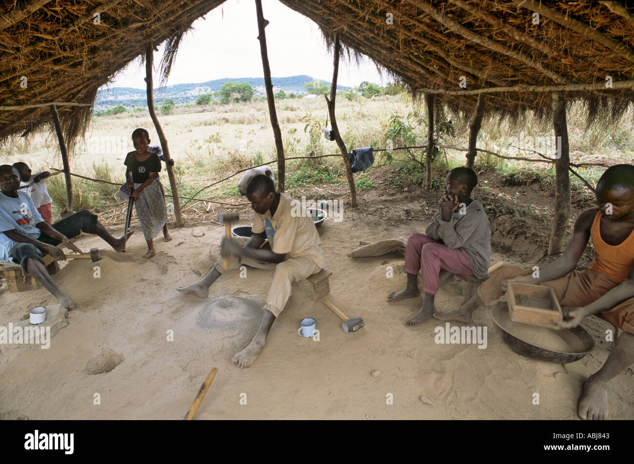 Lepolosi, Kenya. Gold prospectors in a thatched shelter crushing rock ...