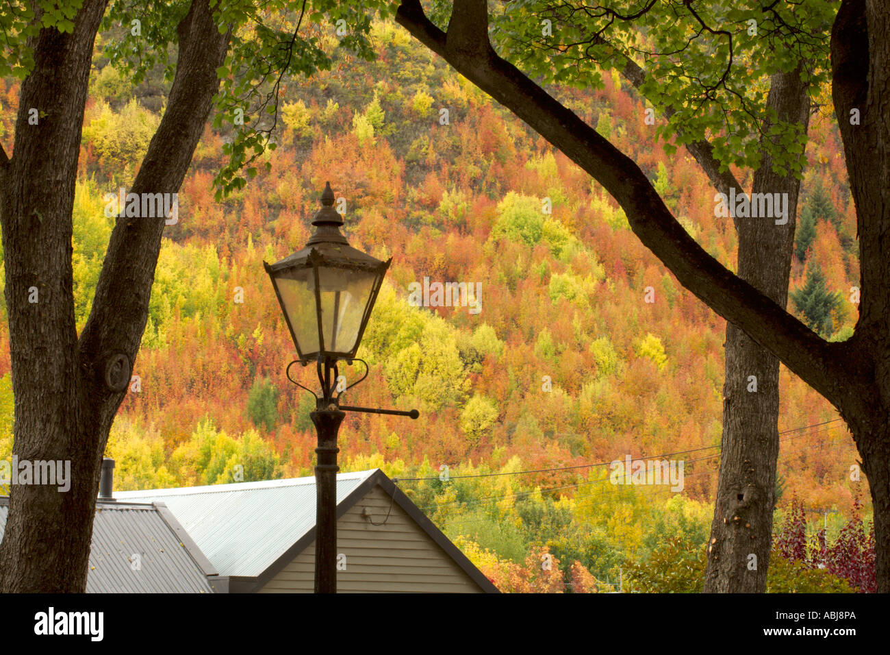 Autumn fall colours in Alexandra in Central Otago, New Zealand Stock Photo