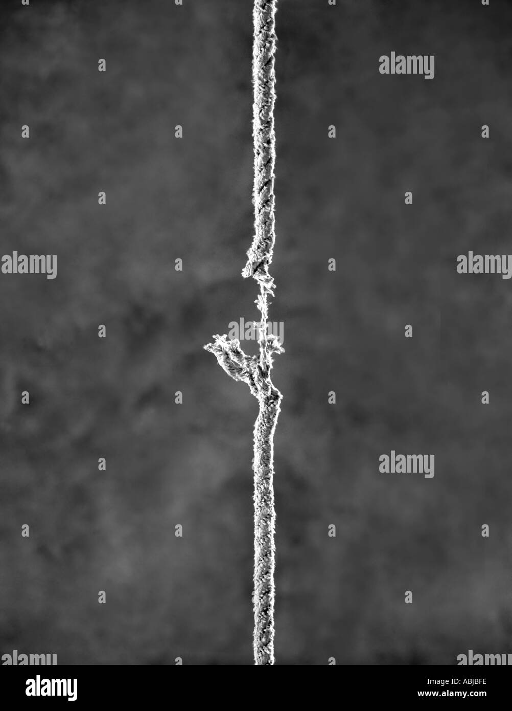 HANGING BY A THREAD Stock Photo Alamy