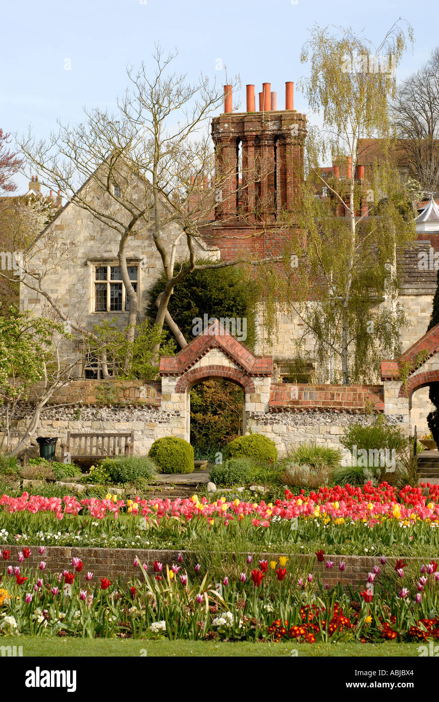 Southover Grange and  Gardens Lewes. View of garden  with brightly coloured spring flowers. Tulips. Stock Photo