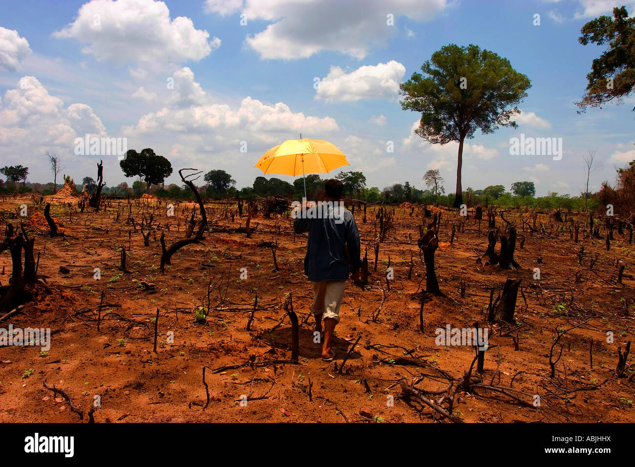 Laos suffers from a number of environmental problems, the most important of which are related to deforestation. Stock Photo