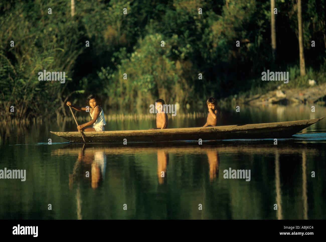 River Amazon Brazil near Manaus native tribal children their dogs paddling back home in canoe . 1980s 1985 HOMER SYKES Stock Photo