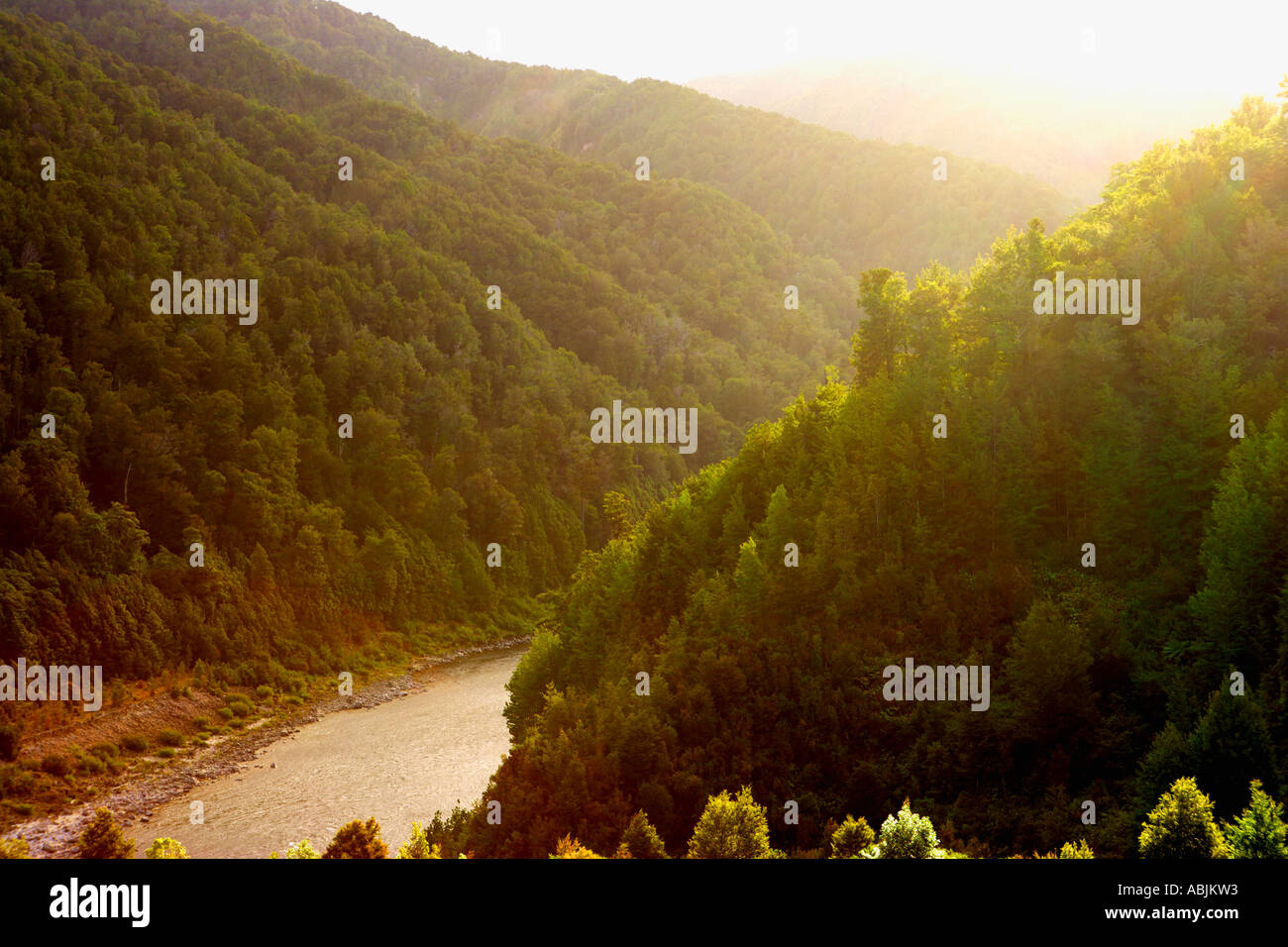 Sunlight on forest river hi-res stock photography and images - Alamy