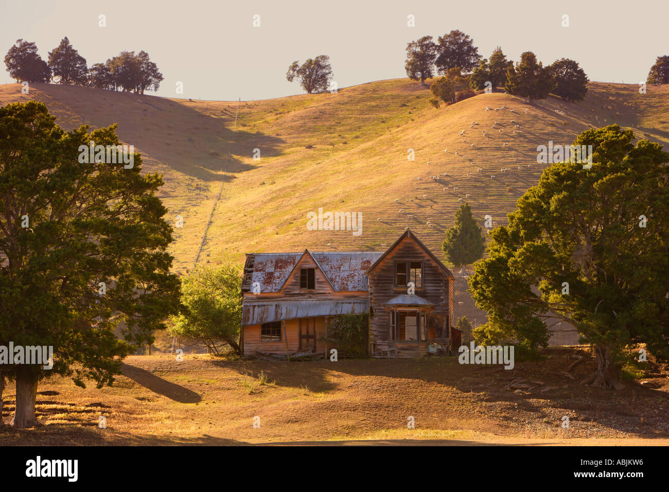 Derelict house in Wakefield, South Island, New Zealand Stock Photo
