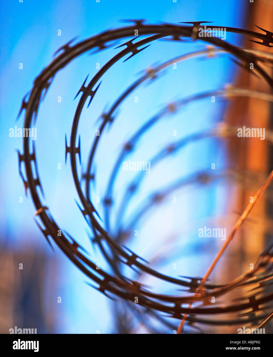 Coil Of Razor Wire High Resolution Stock Photography and Images Alamy