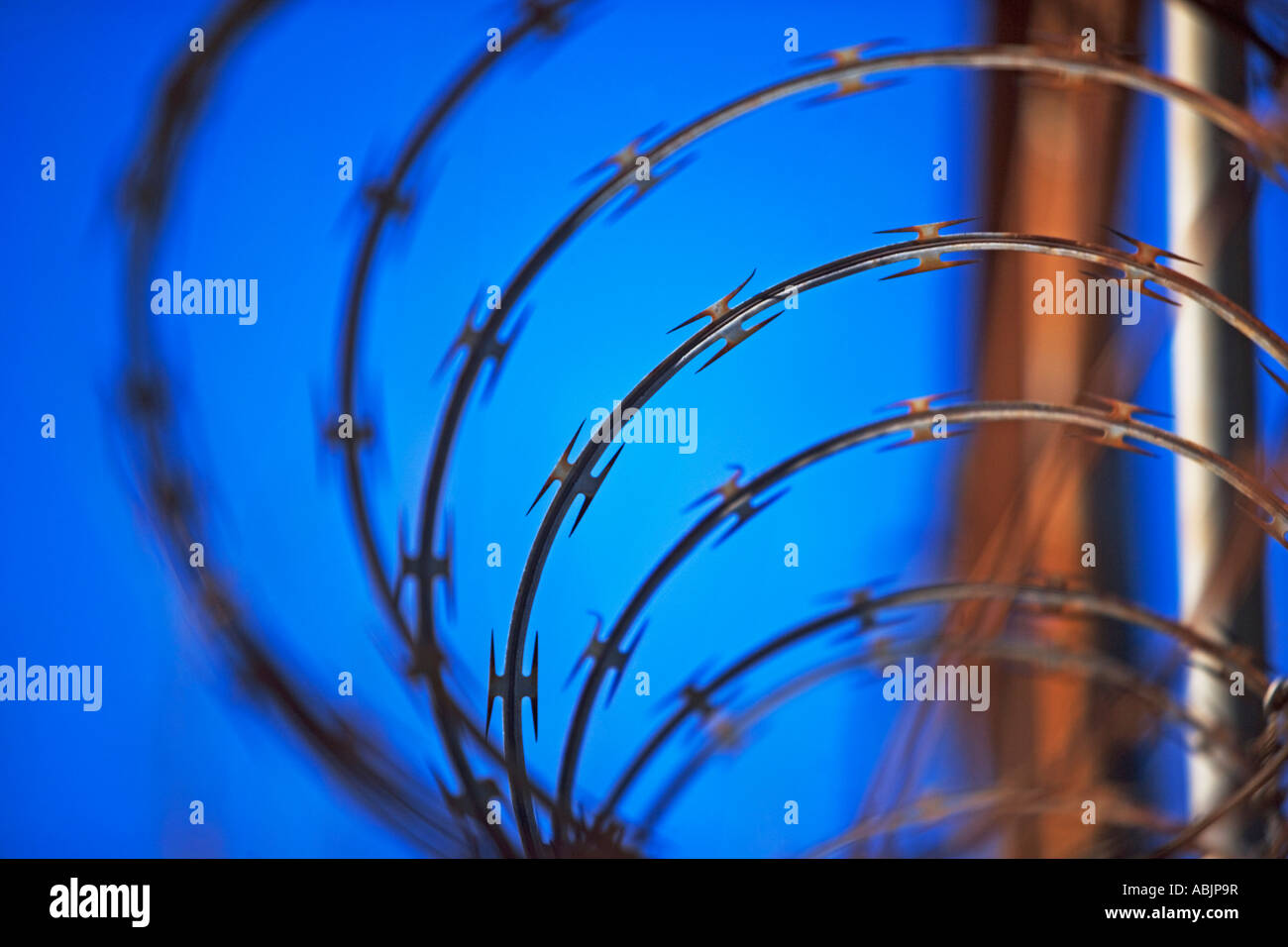 Close up of coiled razor wire Stock Photo - Alamy