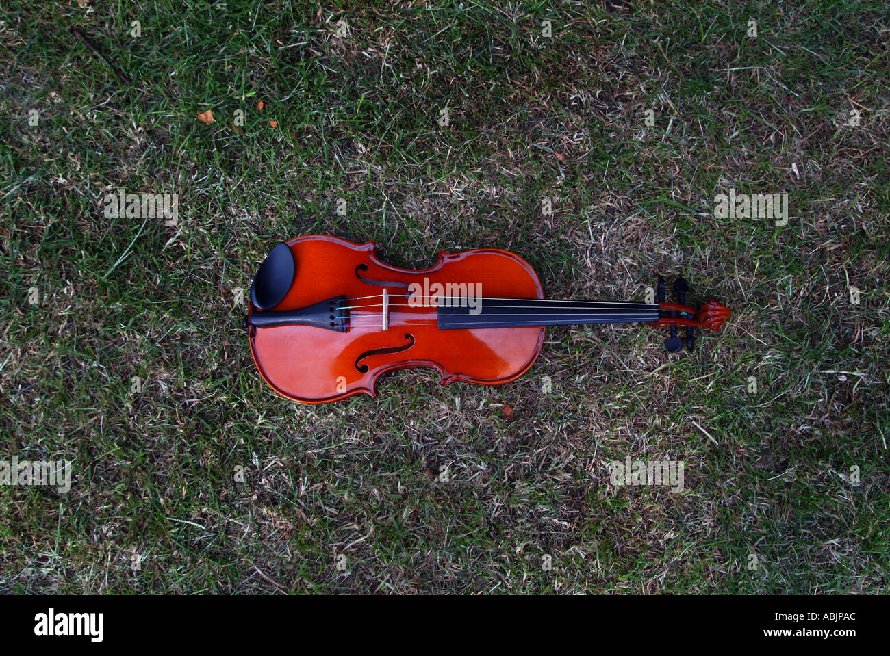 VIOLIN ON THE GRASS Stock Photo