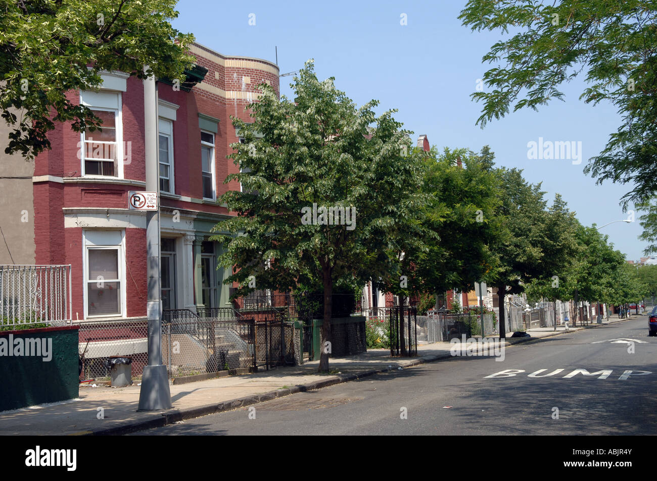 Tree lined street in Hunt s Point in the Bronx in NYC Stock Photo Alamy