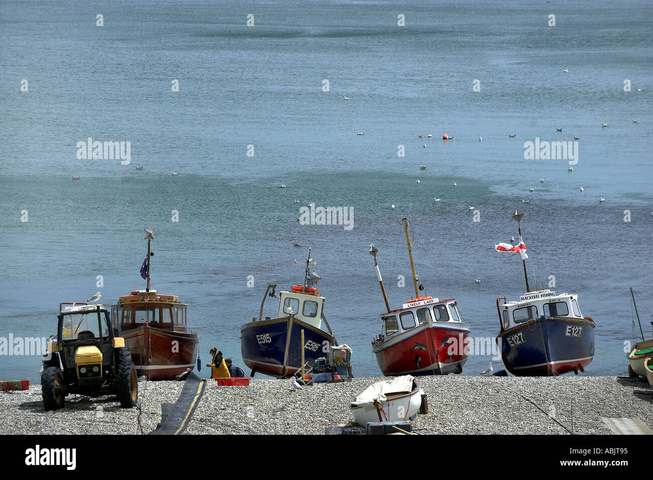 Fishing boats on the beach at Beer in Devon Stock Photo