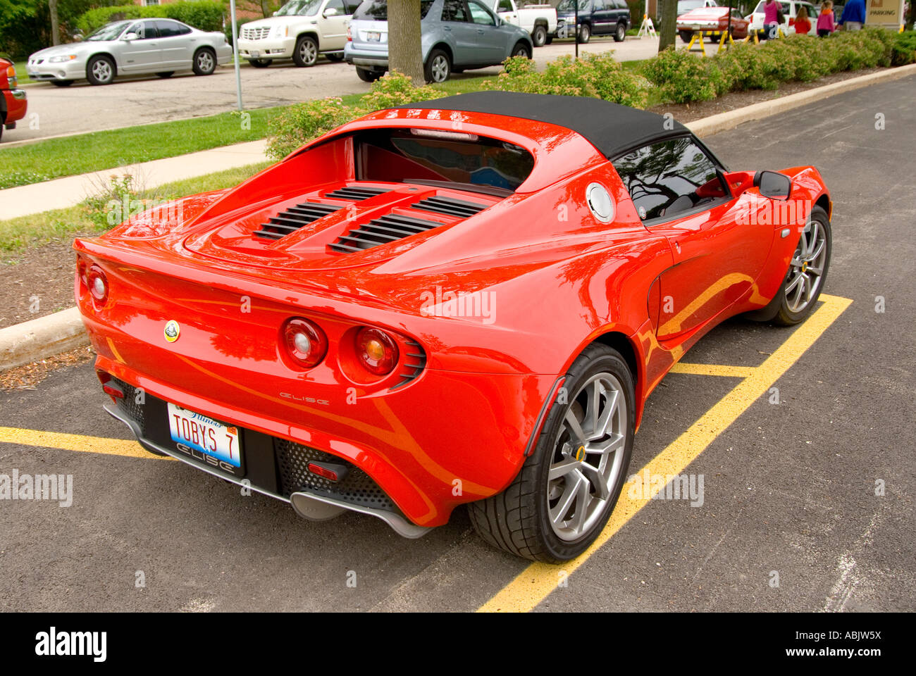 Red Lotus Celisce Stock Photo
