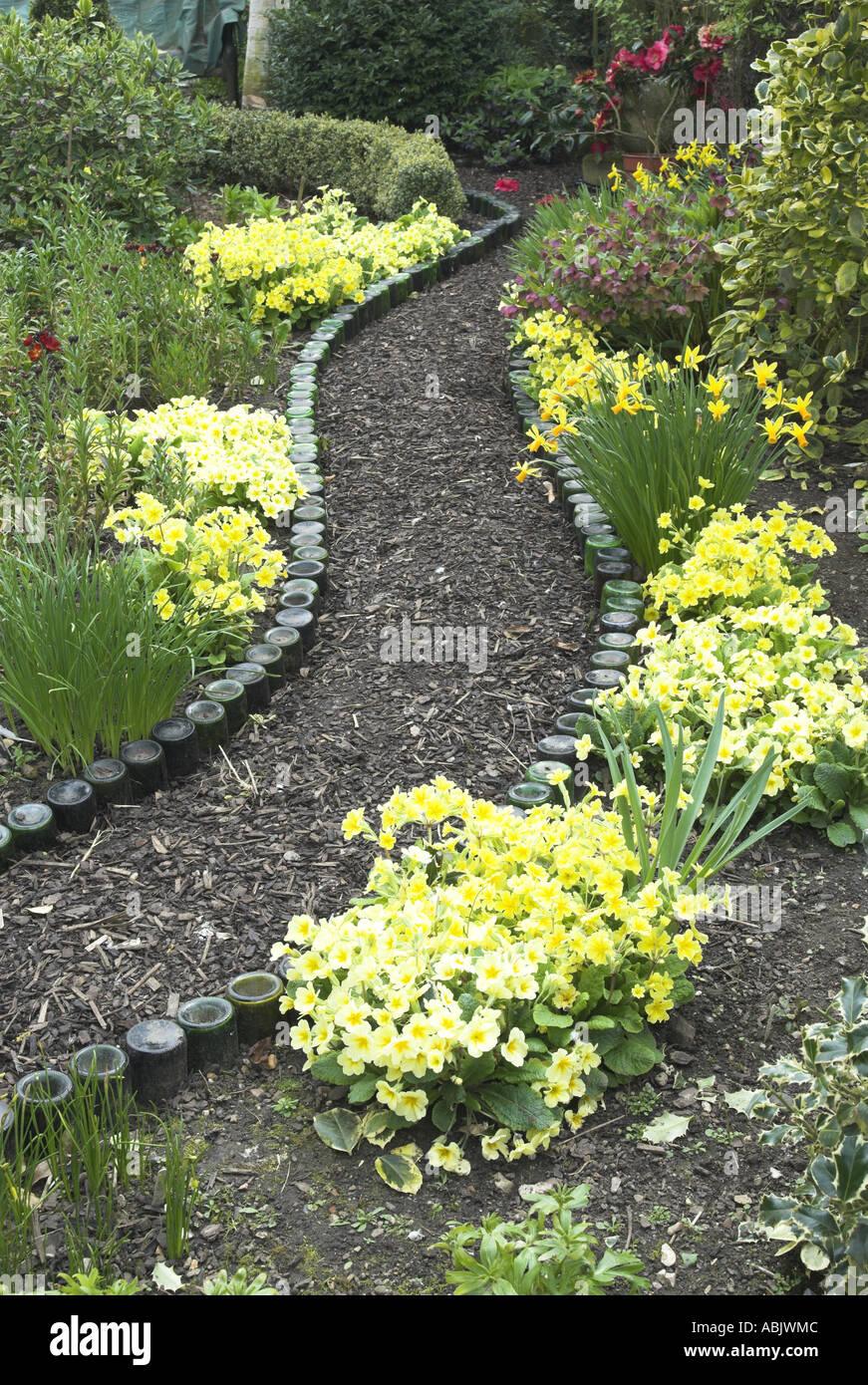 Bottle edged path in a spring garden with polyanthus and primulas Norfolk May Stock Photo