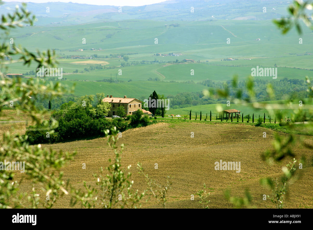 Tuscany italy italian house mansion trees hi-res stock photography and ...