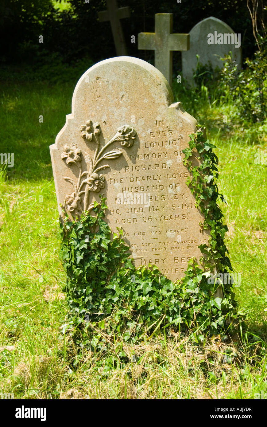 Ivy Covered Grave Headstone Stock Photo