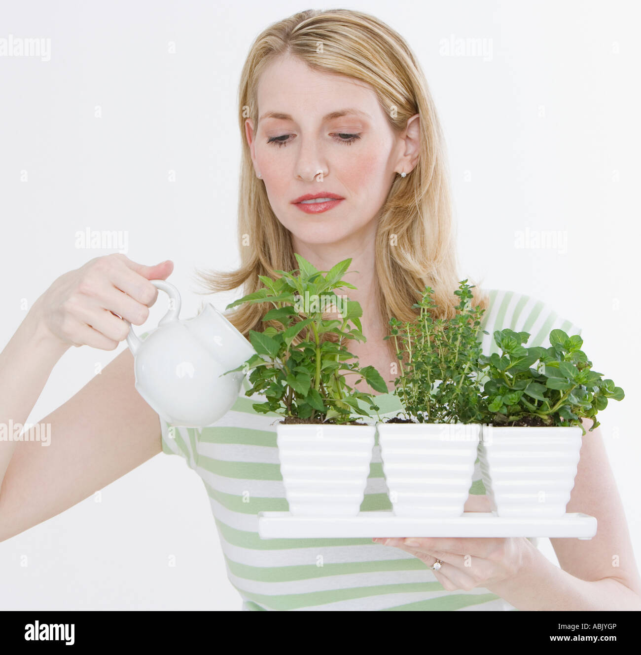 Woman watering herbs in pots Stock Photo Alamy