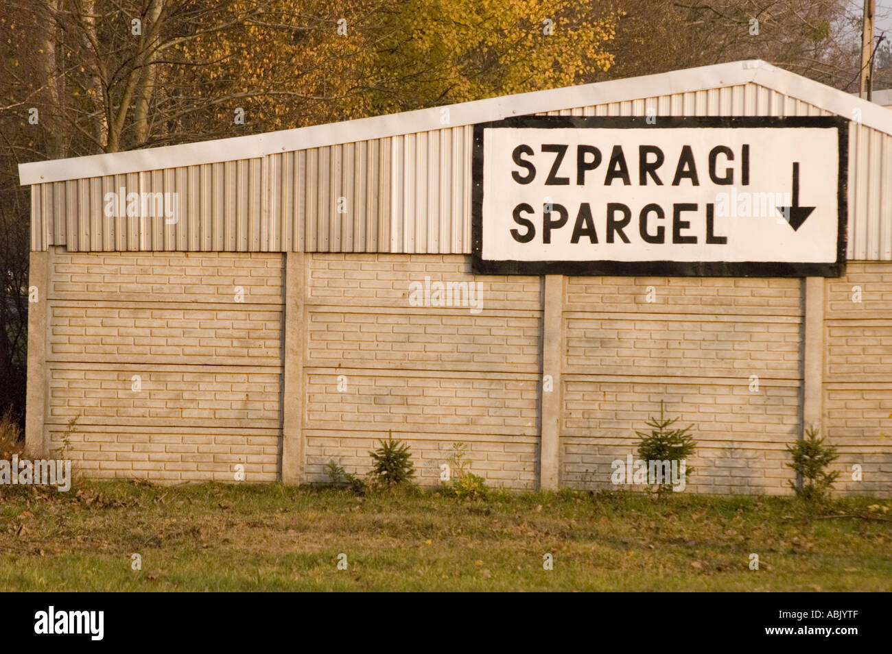 Szparagi Spargel asparagus advertisement on the Warsaw Berlin road near Miedzichowo, Poland, on a building wall above a concrete fence. Stock Photo