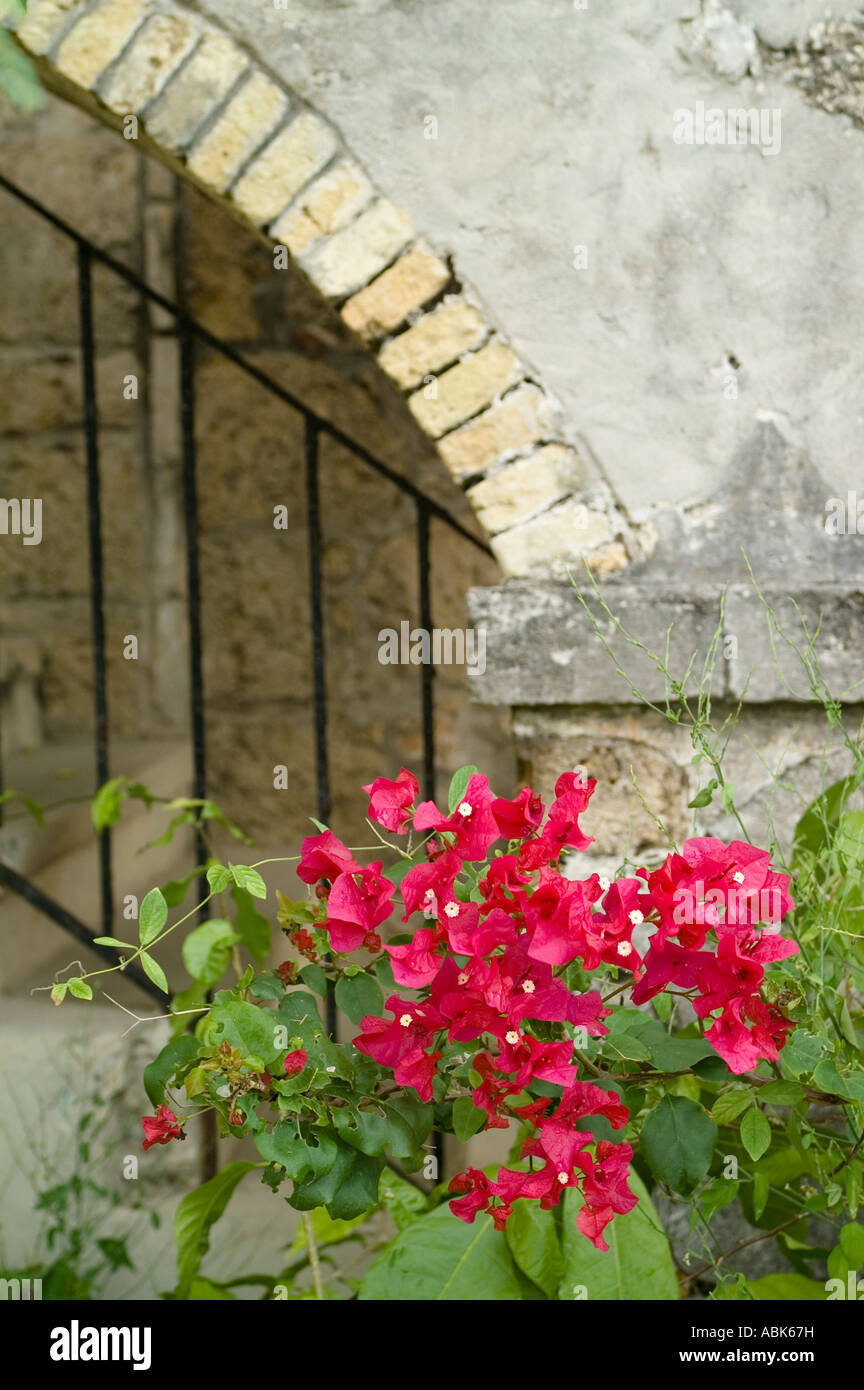 Estate Little Princess, Christiansted, St Croix, US Virgin Islands