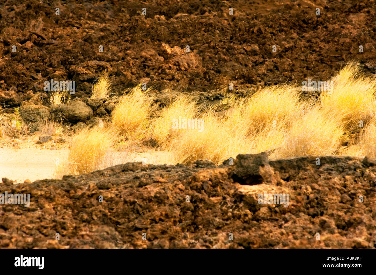 THE SHEITANI lava flow Chyulu Hills vulcan volcano tsavo west kenya East Africa Stock Photo