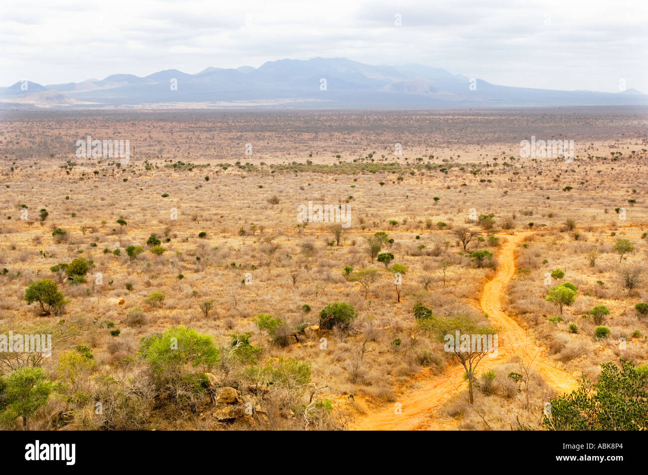 Feel Feeling Bush Savannah Nationalpark Biosphere Hauser