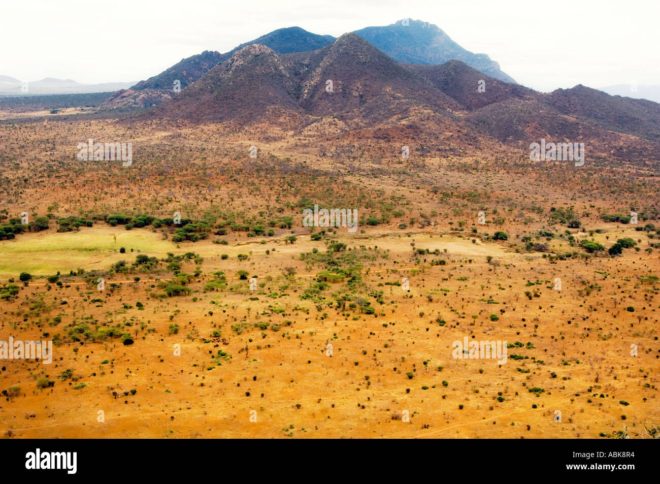 Feel Feeling Bush Savannah Nationalpark Biosphere Hauser