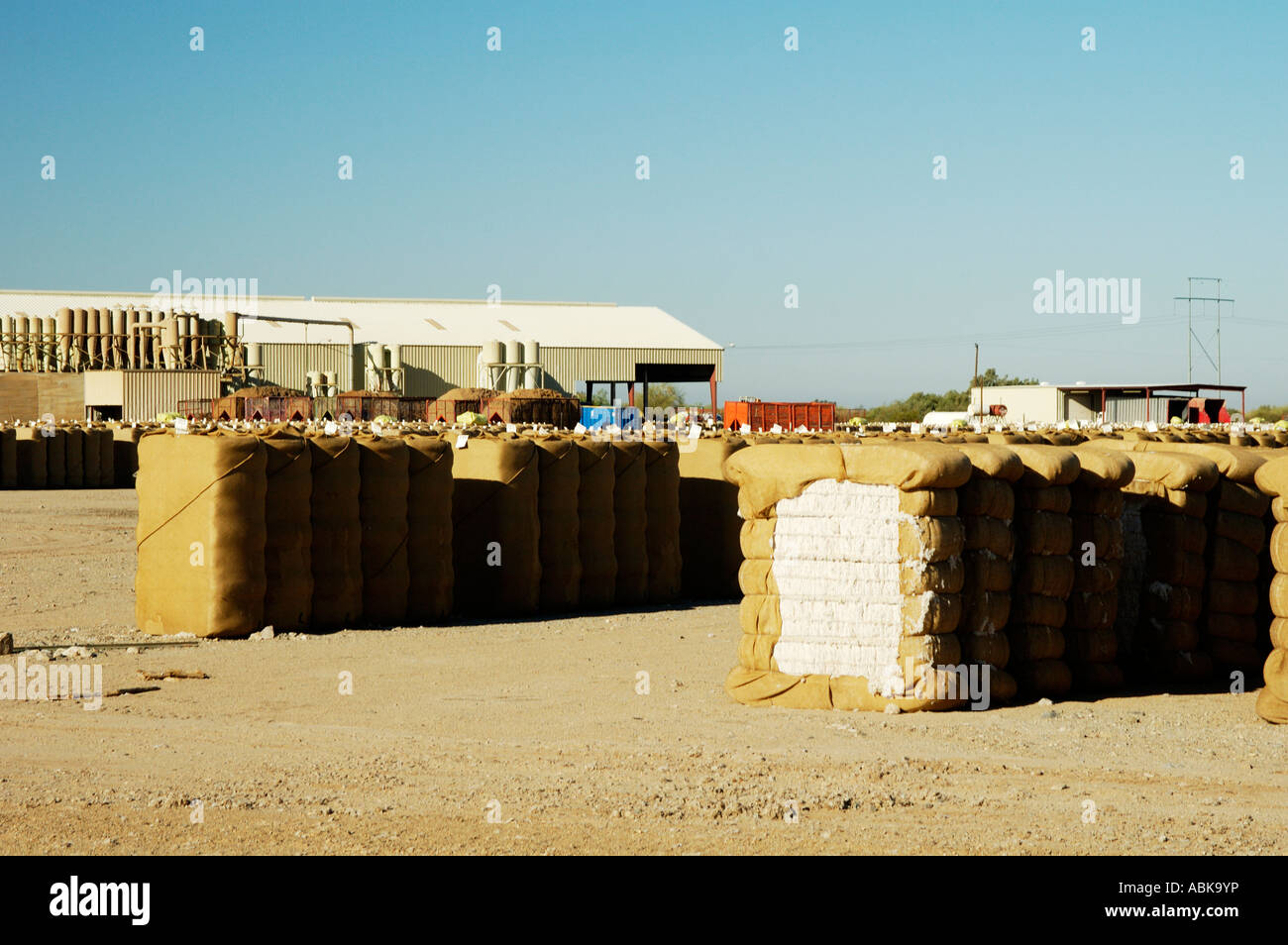 cotton bails stacked at a cotton gin in Arizona Stock Photo