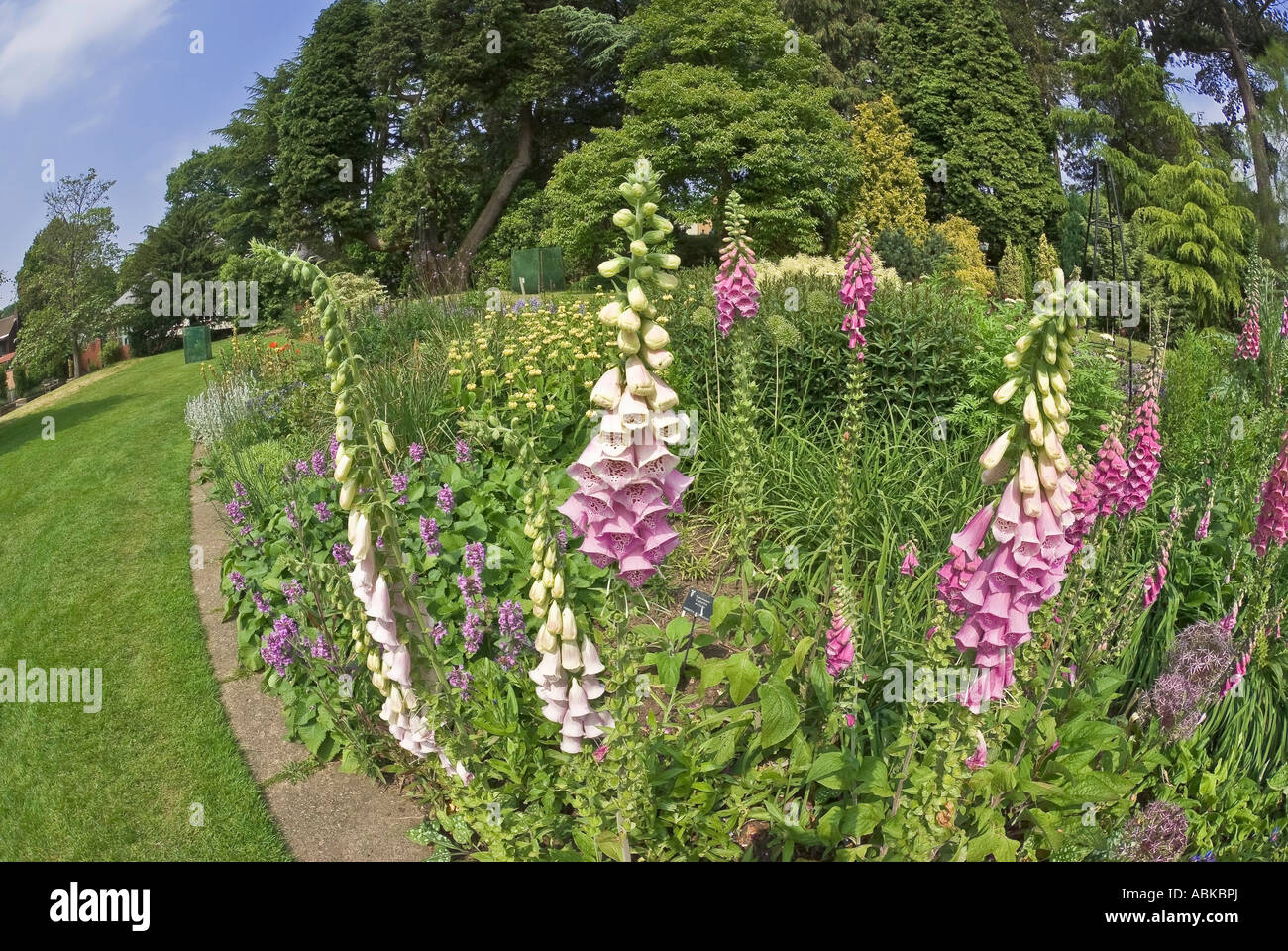 birmingham botanical gardens midlands england uk Stock Photo Alamy