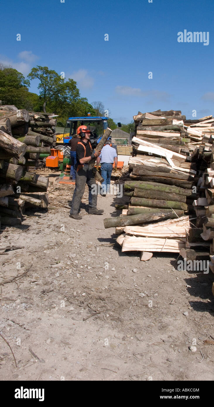 forestry worker man splitting timber on a tractor mounted splitter to make logs. Stock Photo