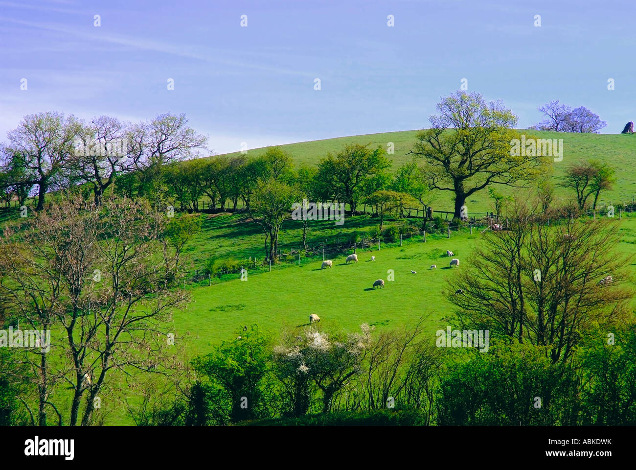 shropshire hills cardington midlands england uk Stock Photo