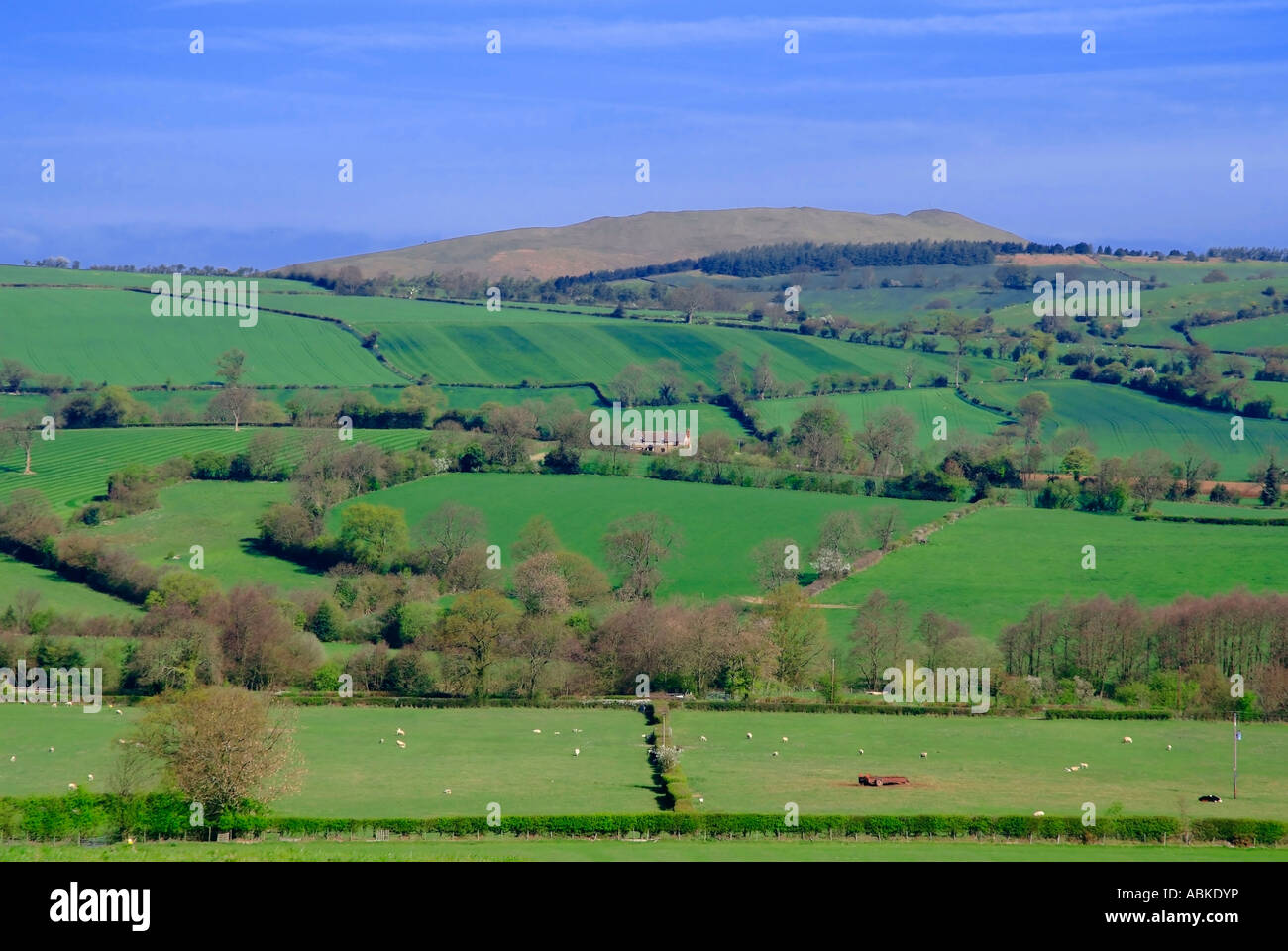 shropshire hills cardington midlands england uk Stock Photo