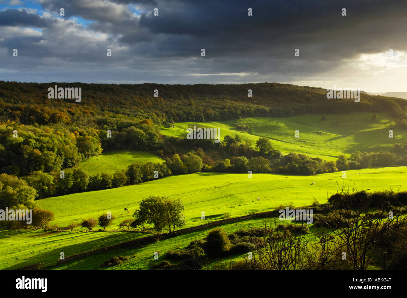 Autumn view of Standish Park and Standish Wood from Haresfield Beacon