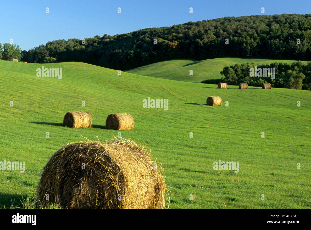 American minnesota rural farming hi-res stock photography and images ...