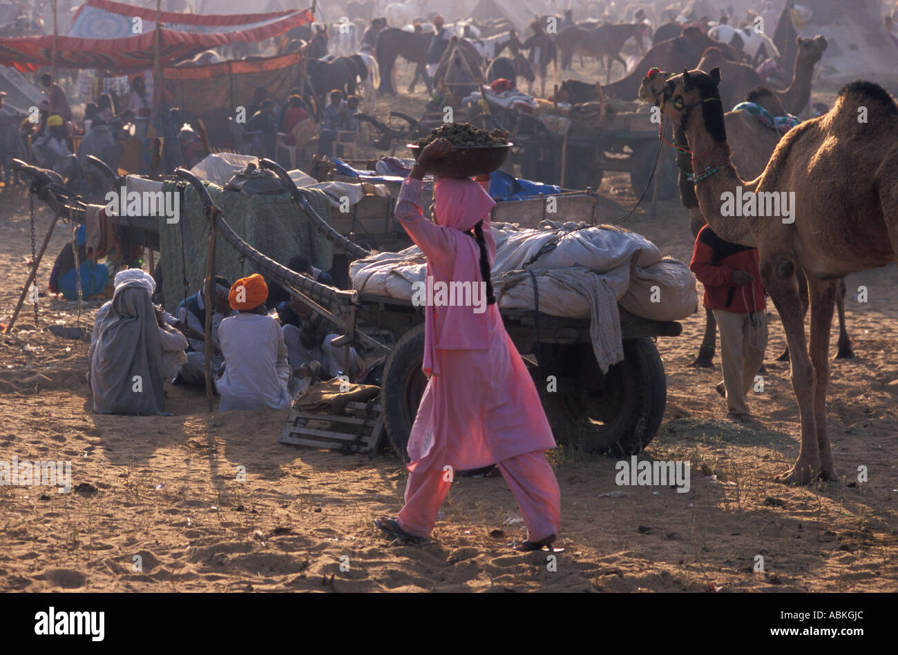 Camel Dung High Resolution Stock Photography And Images Alamy