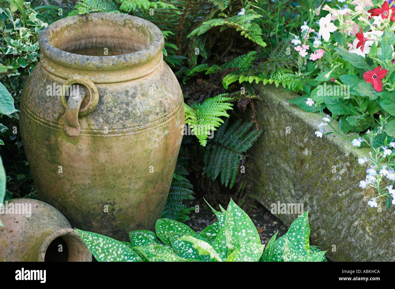 English Garden Pots and Trough Stock Photo Alamy