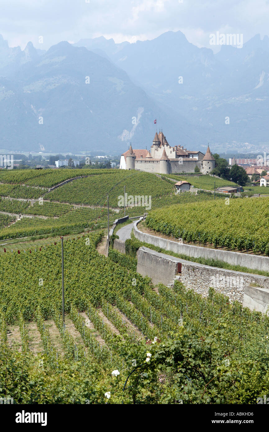 Vineyards of Chateau D Aigle Villars Valais region of Switzerland Stock  Photo - Alamy