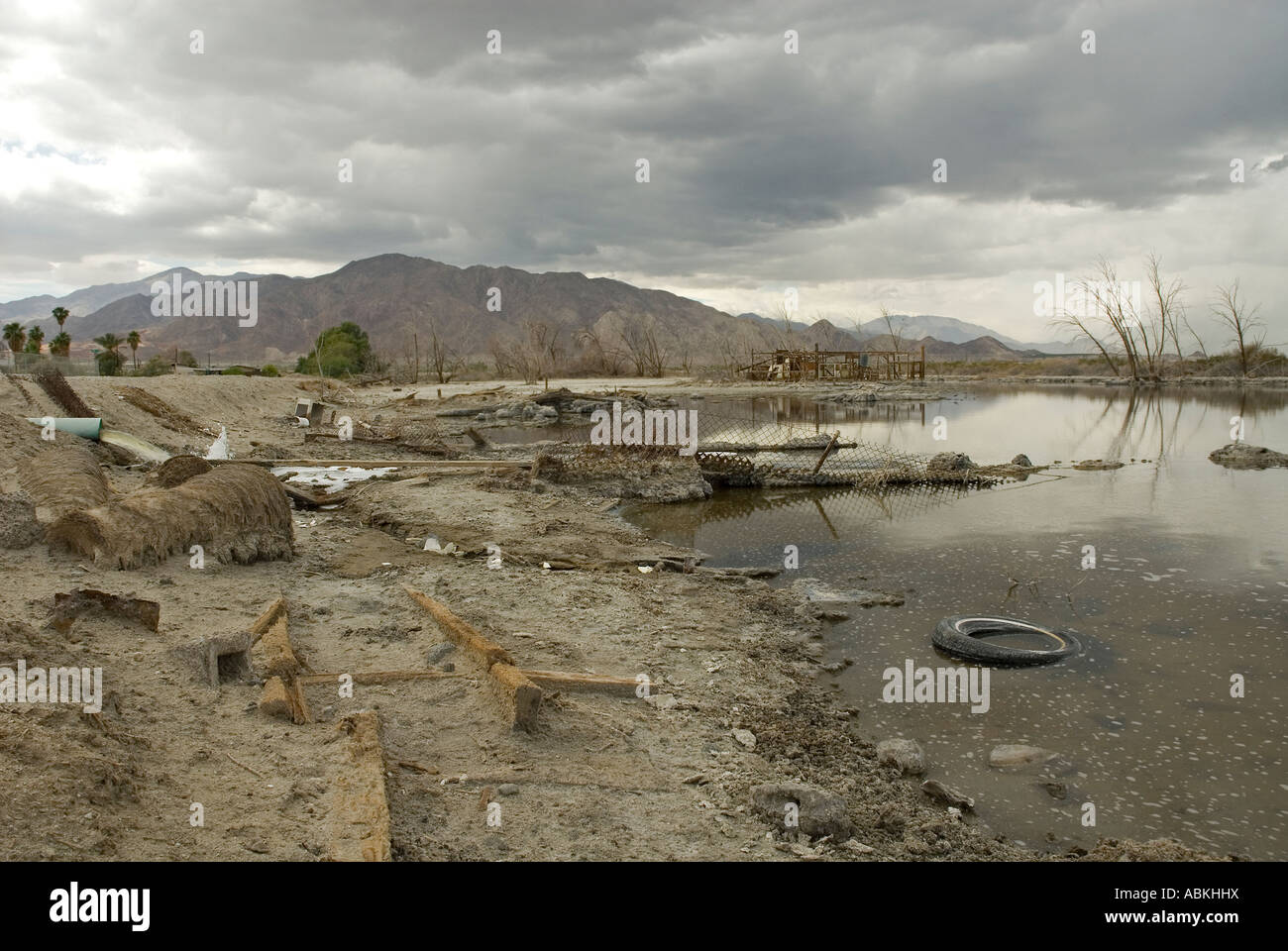 The polluted water of the Salton Sea, Salton Sea Beach, Southern