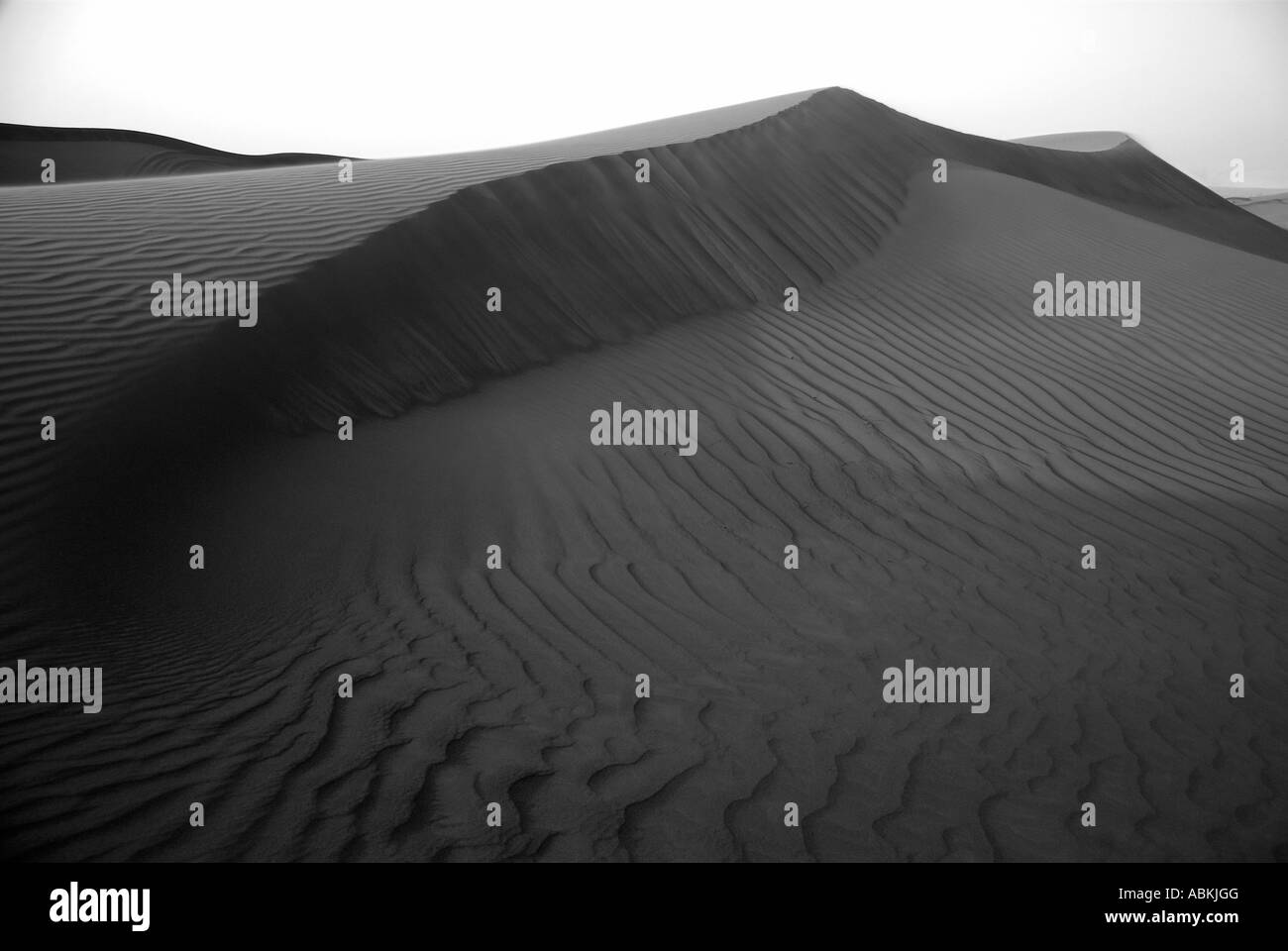 Ron Hayes Dubai Desert Sand Dunes Monotone Stock Photo Alamy