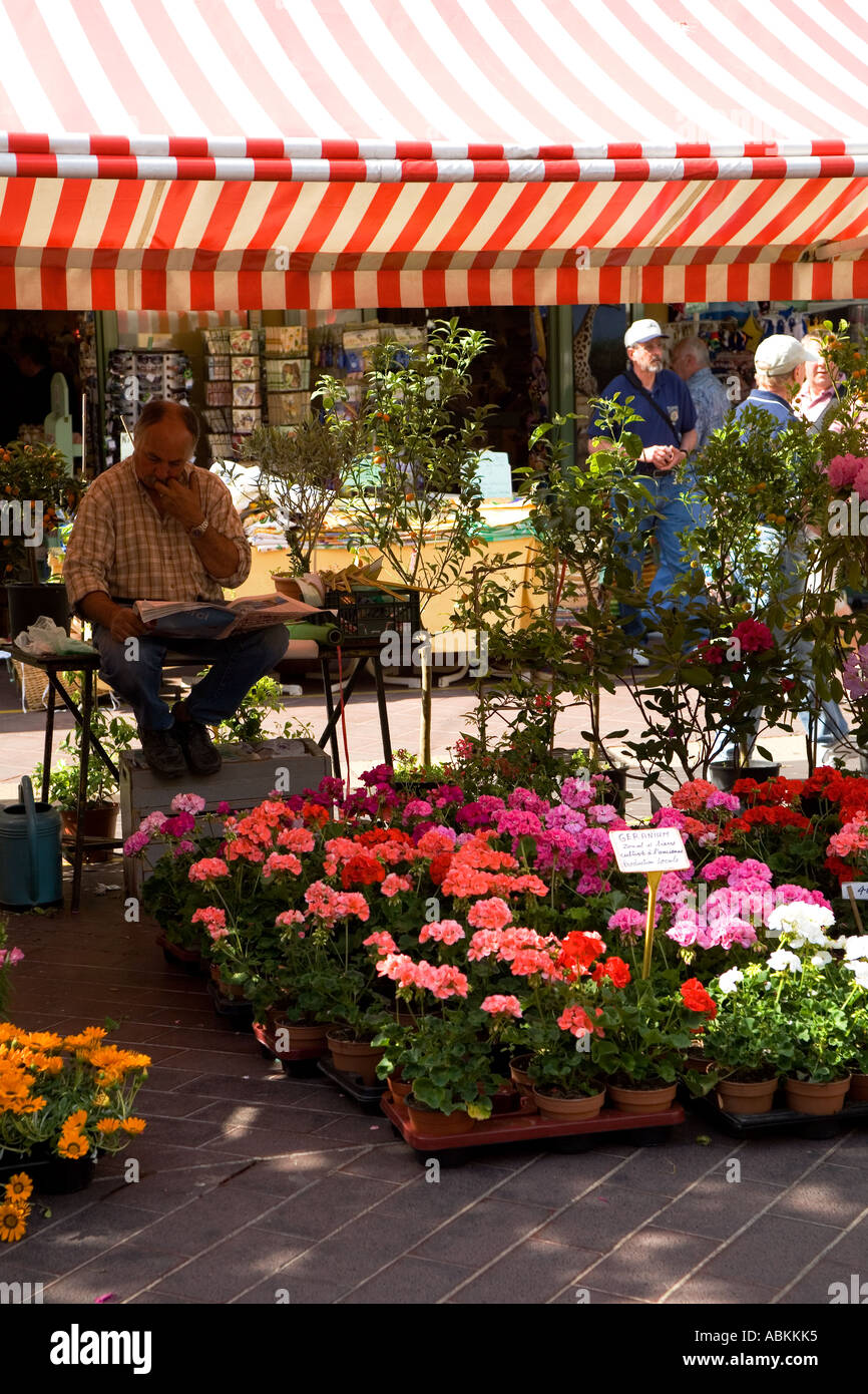 Cours saleya flower market nice france riviera stall hires stock