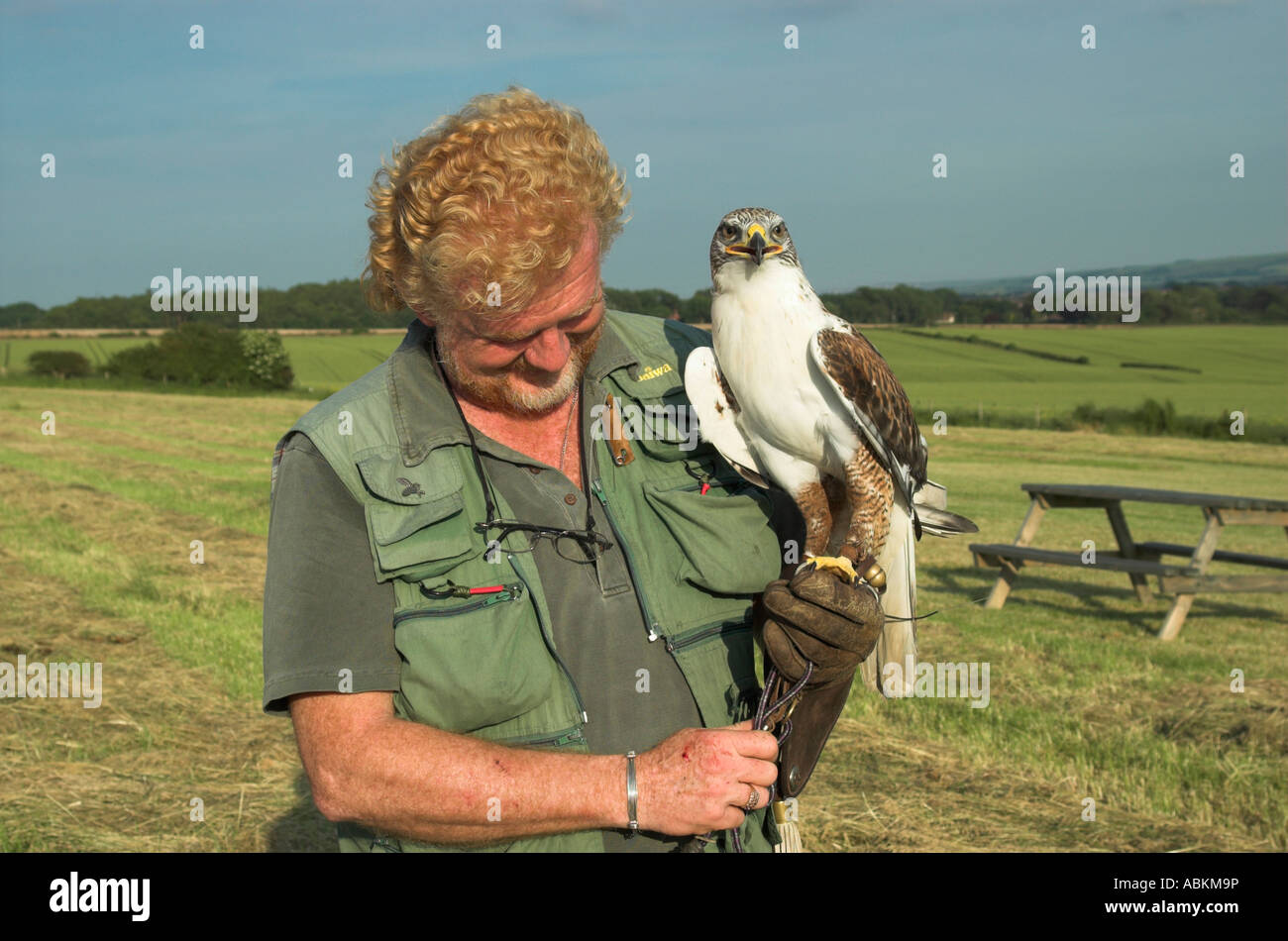 Birds of prey  Yorkshire Wildlife Trust