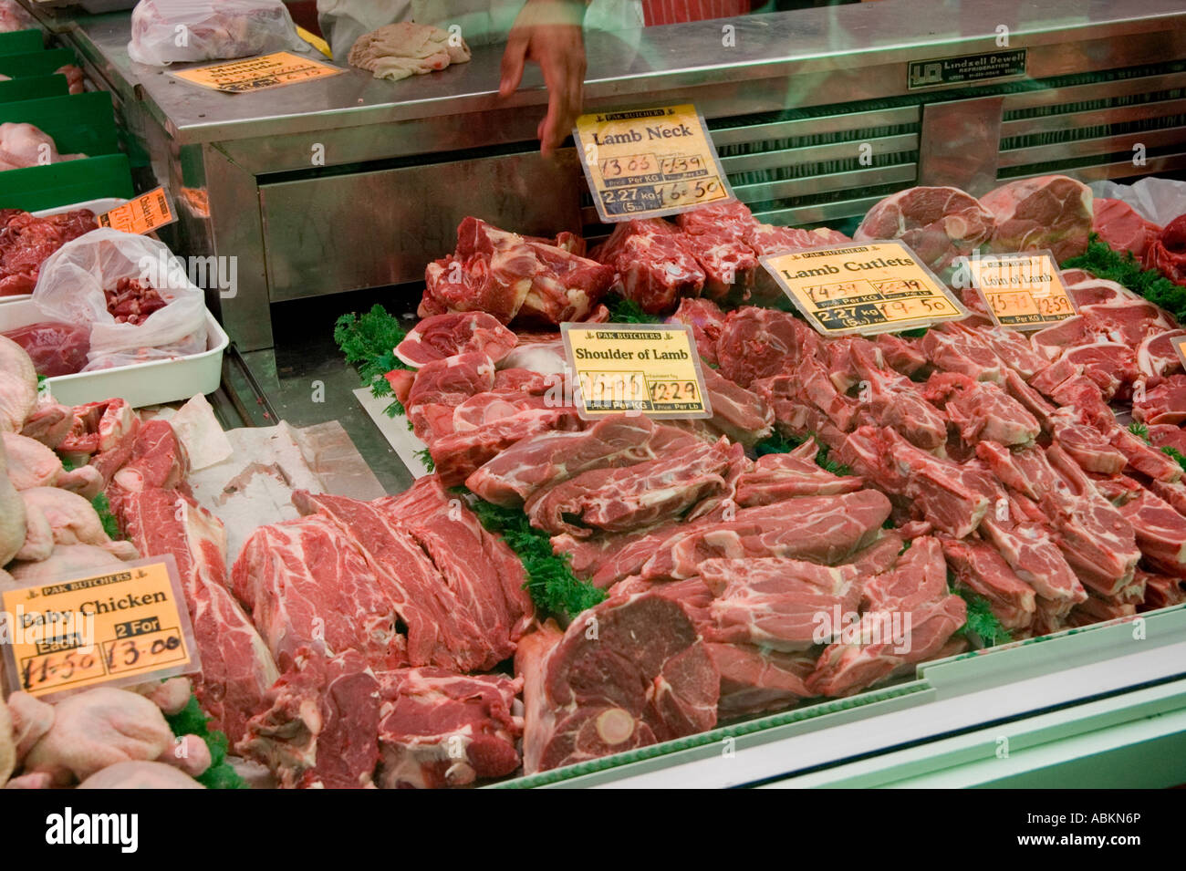 lamb and chicken meat on sale in a butchers window Stock Photo Alamy