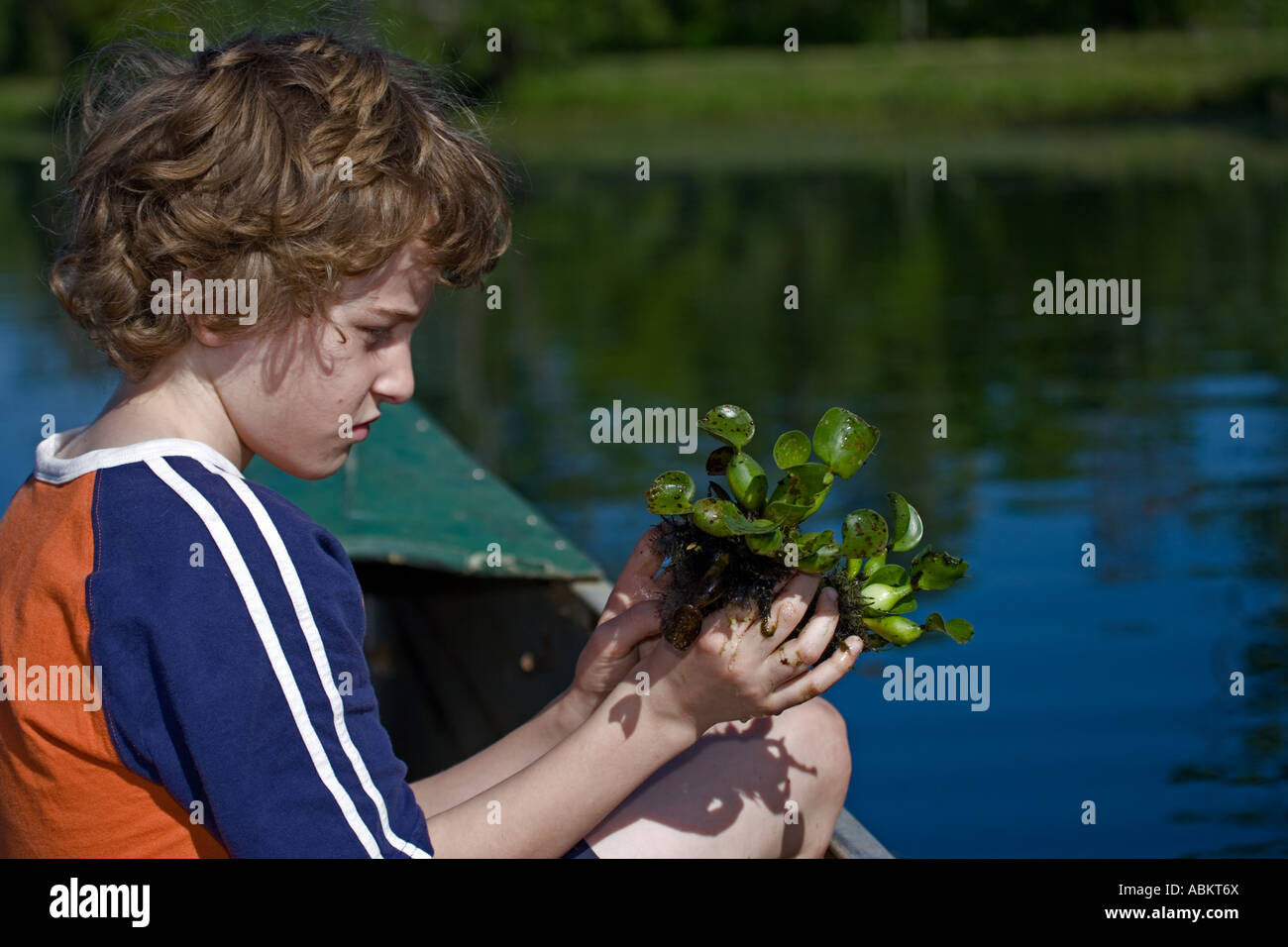 Boy Observing Water Hyacinth In Louisiana Swamp Usa 10 Year Old Boy Stock Photo Alamy Boy Observing Water Hyacinth In Louisiana Swamp Usa 10 Year Old Boy Stock Photo Alamy