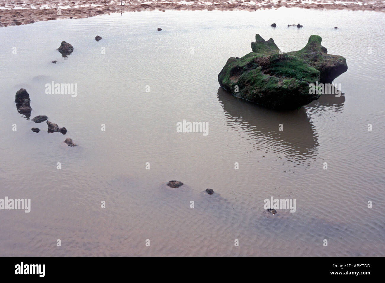 Seahenge, a bronze age timber circle, exposed at low tide Holme next the Sea, Norfolk, England, UK Stock Photo