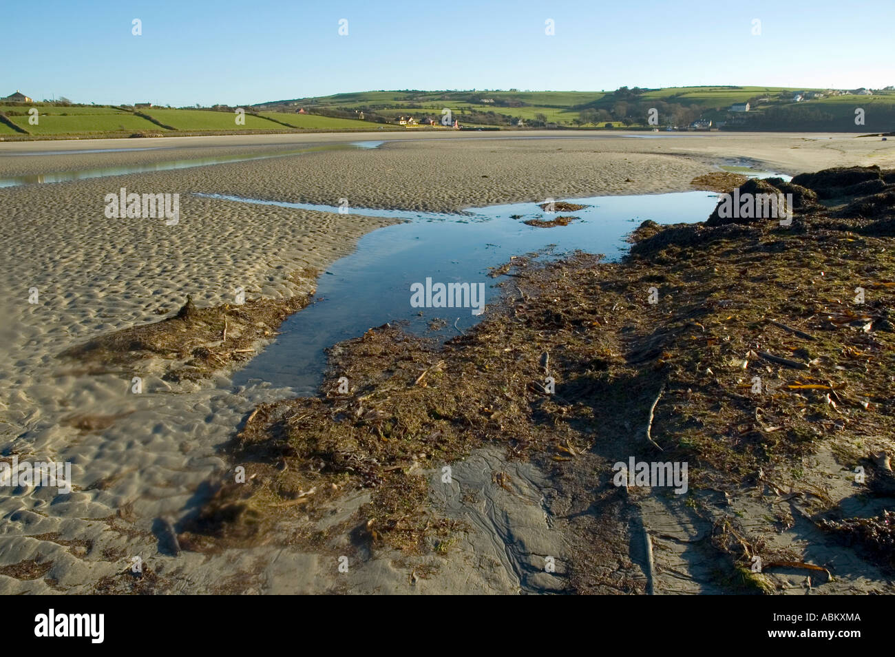 The estuary at Clonakilty Harbour, from Inchydoney Island, County Cork