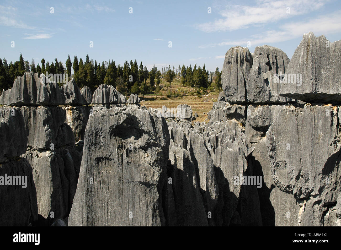 Shiling Place Shiling hi-res stock photography and images - Alamy