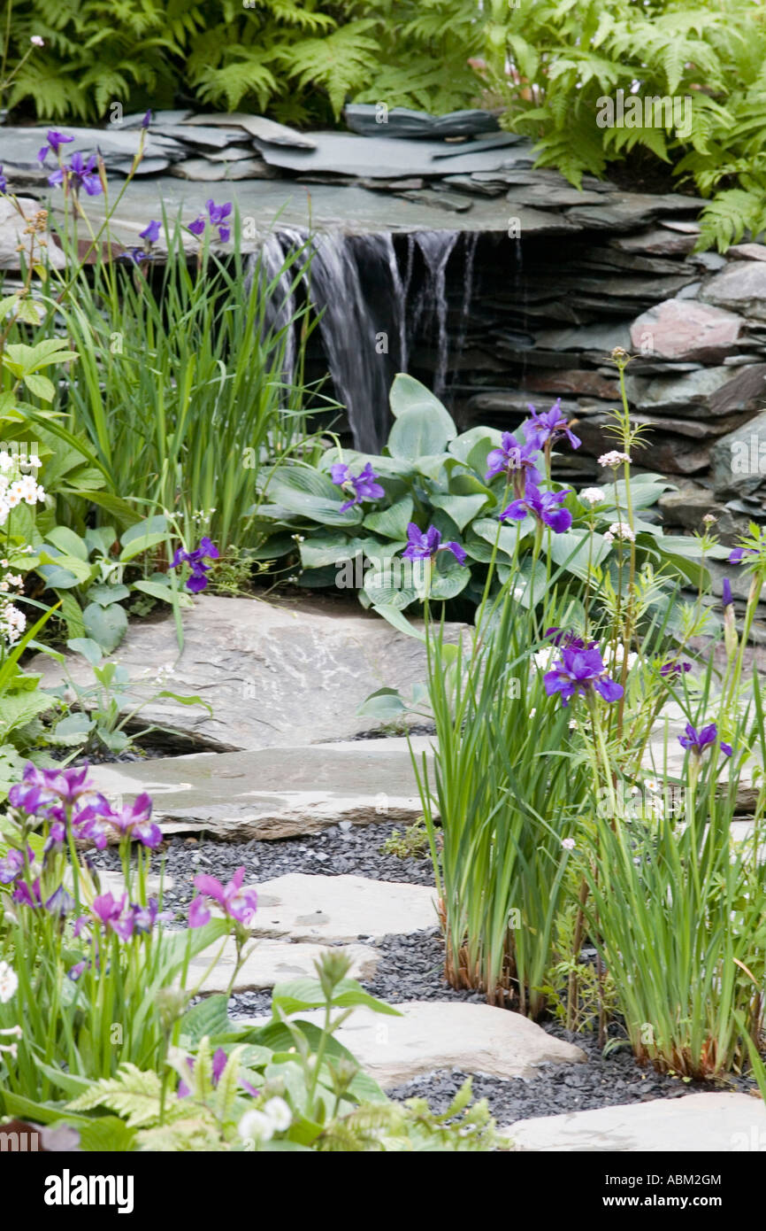 Hostas Rhs Garden path hostas hi-res stock photography and images - Alamy