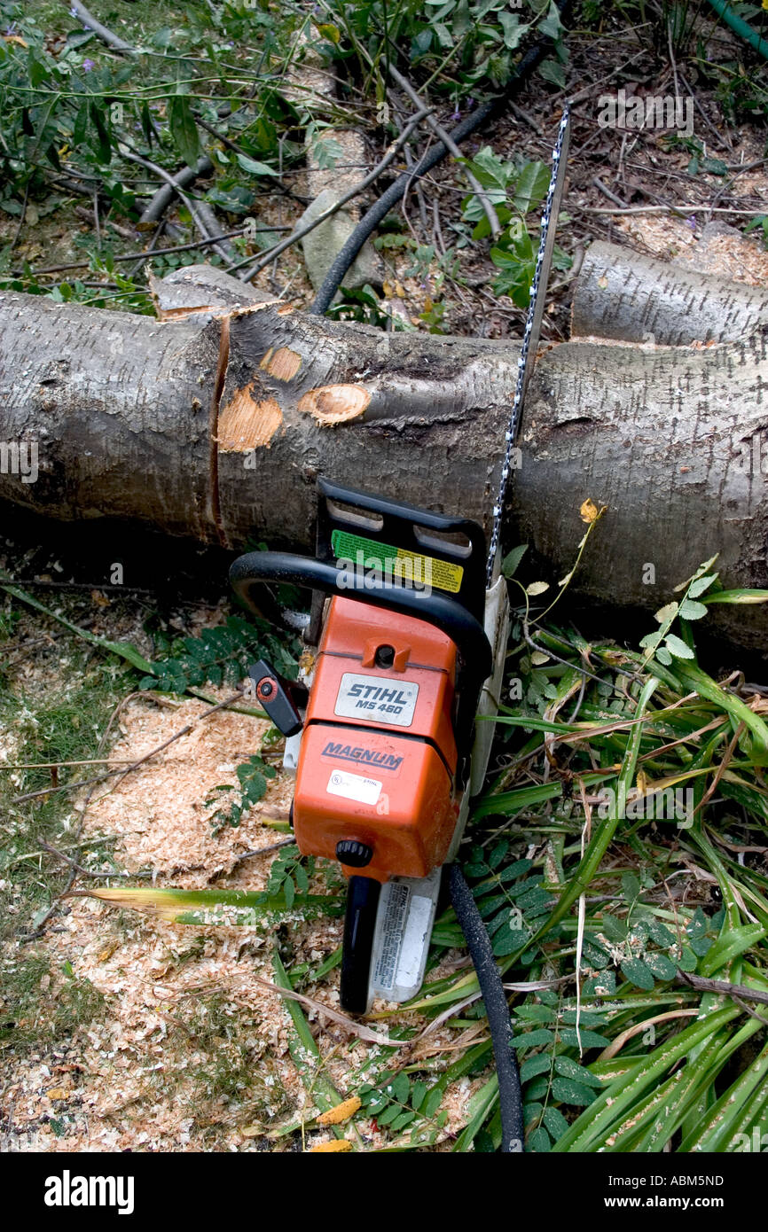 Electric chain saw used to cut down tree in my yard. St Paul Minnesota MN USA Stock Photo Alamy