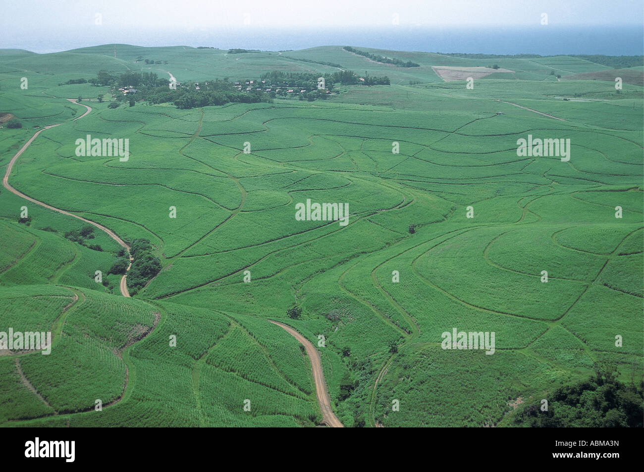 Aerial view of sugar cane plantations Natal Coast South Africa Indian ocean sea in the distance Stock Photo