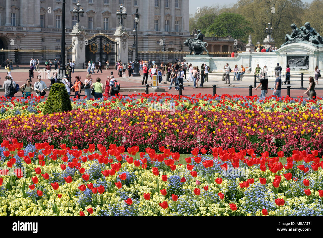 summer flowers outside buckingham palace london england Stock Photo Alamy