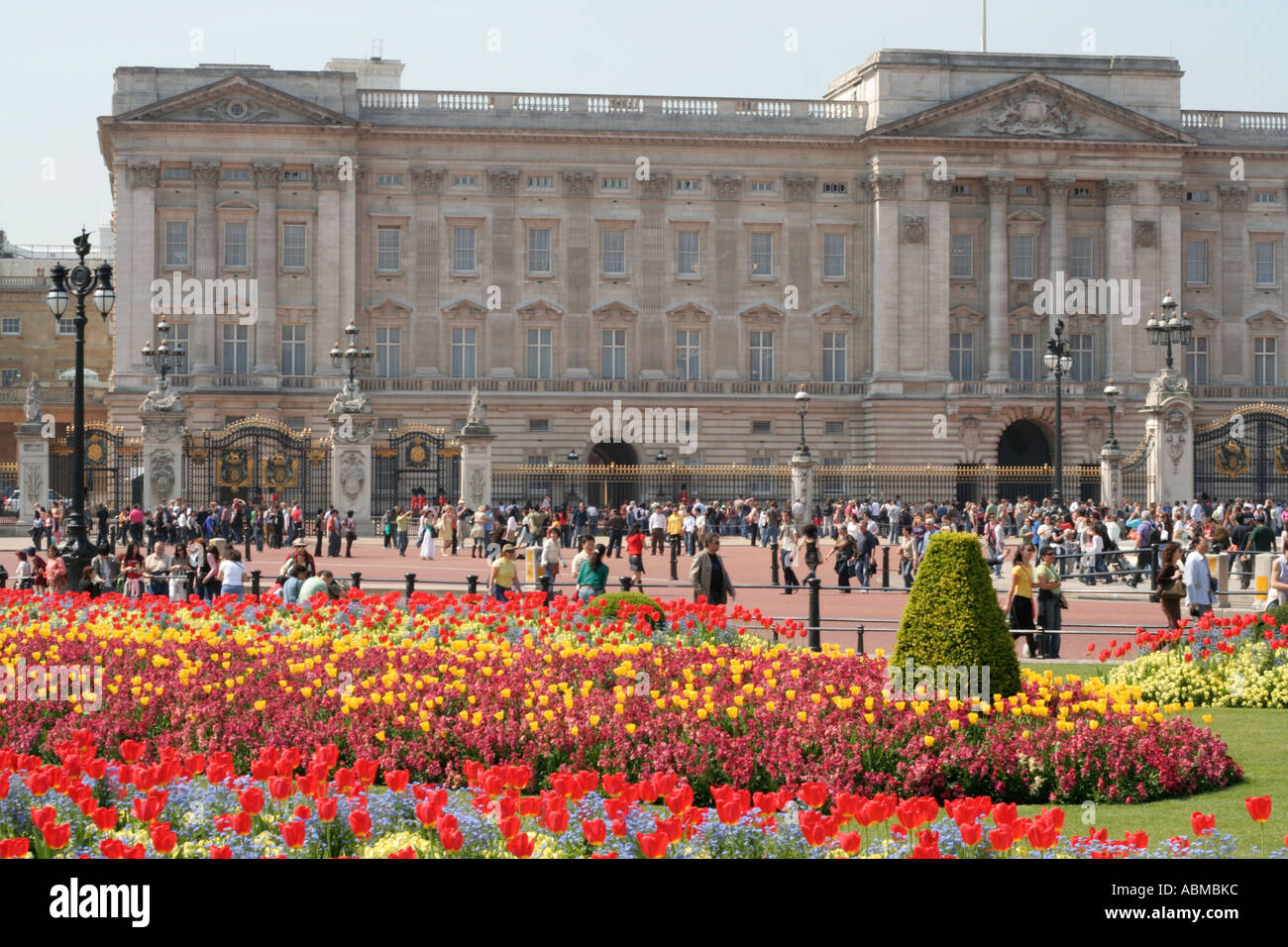 buckingham palace london flowers in bloom royal residence england Stock